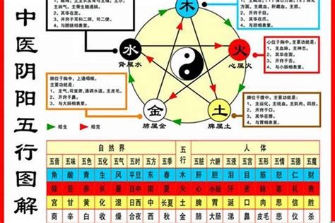 1984 五行|1984年属鼠是什么命，84年出生五行属什么